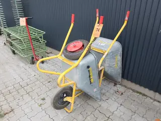 TRILLEBØRE 2 st