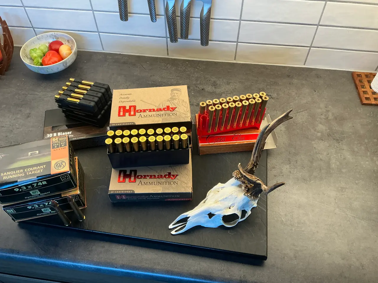 Billede 2 - 9,3x74R tomme hylstre og RWS trænings ammunition.
