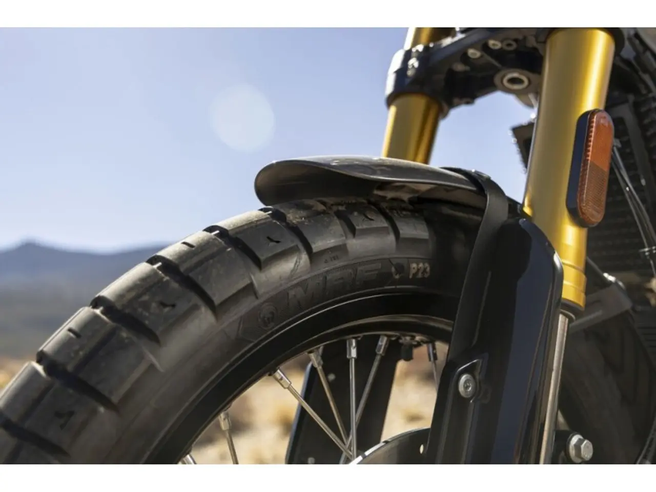 Billede 9 - Royal Enfield Bear 650 Golden Shadow