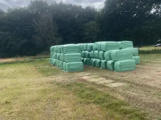 Wrap 2025