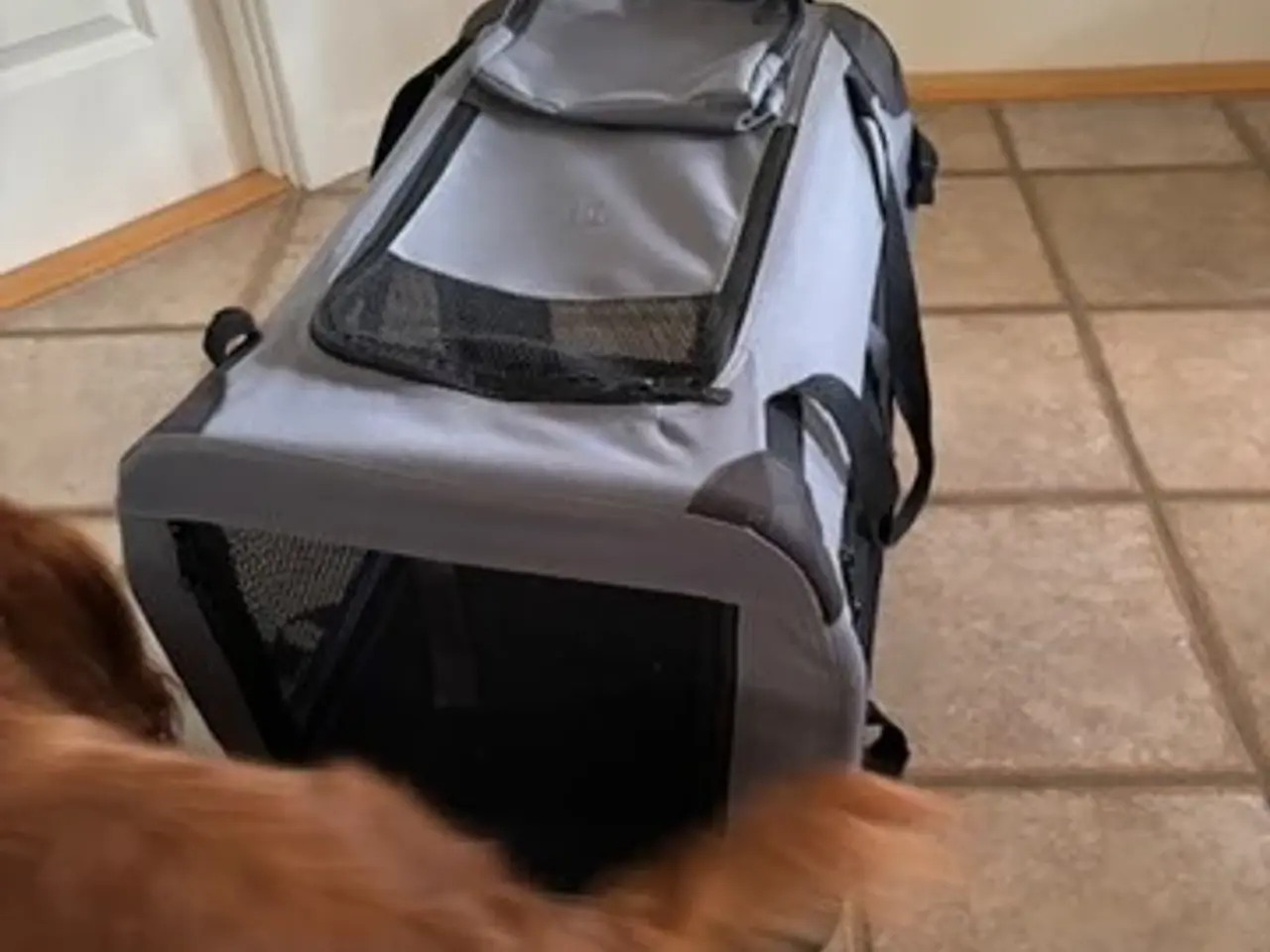 Billede 2 - Hunde Transporttaske
