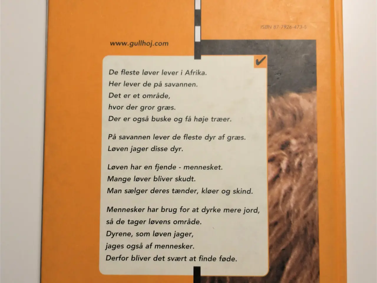 Billede 2 - Løven - dyrenes konge. Af Birthe Kot