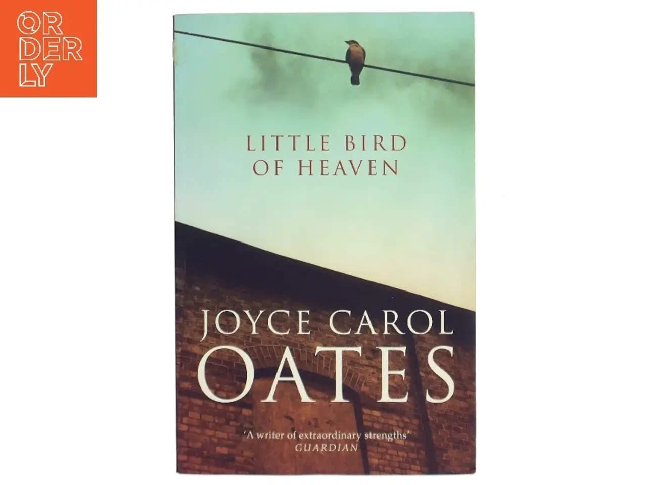 Billede 1 - Little bird of heaven af Joyce Carol Oates (Bog)