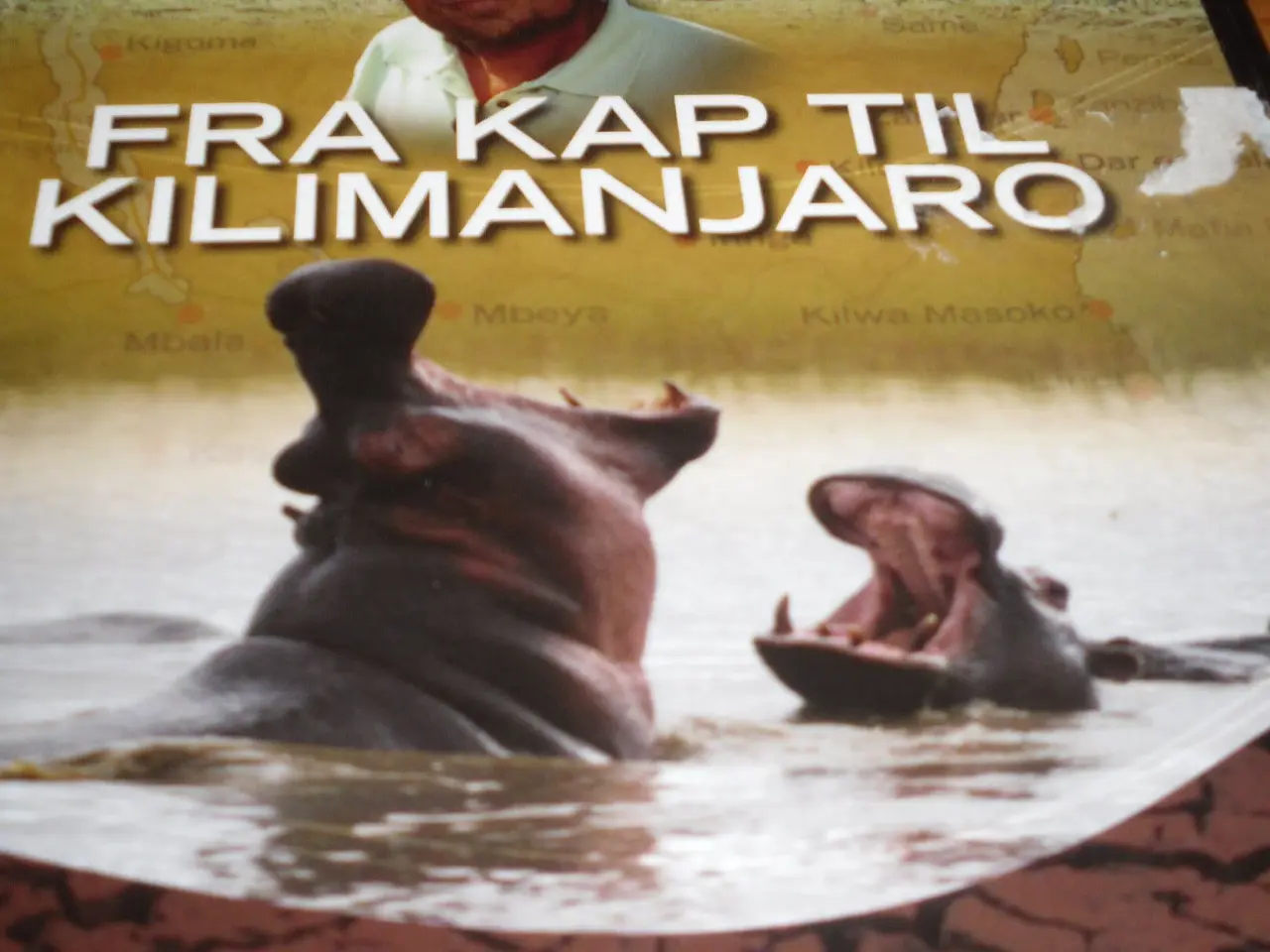 Billede 1 - Fra Kap til KILIMANJARO.