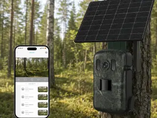 Live 4G app-styret vildtkamera