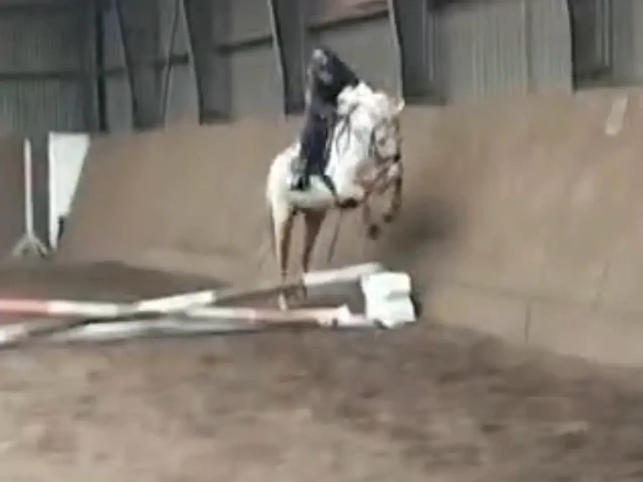 Billede 6 - Smuk palomino hoppe 5 år kat:2 pony