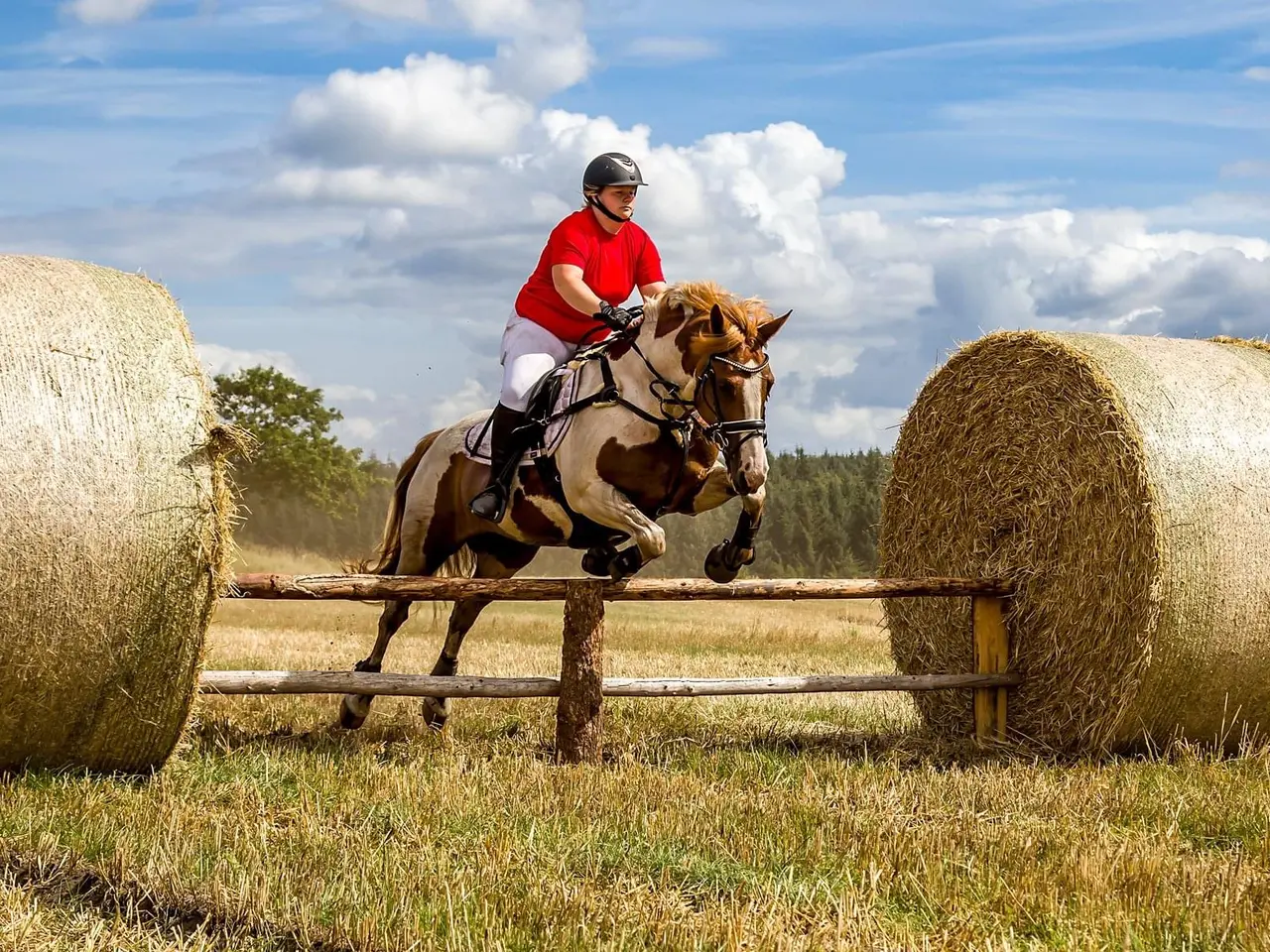 Billede 6 - Perfekt junior hest/ luksus kone hest ❤️ - Mor og