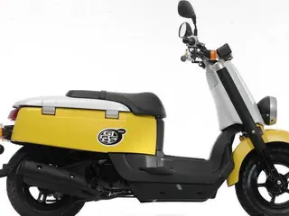SØGES Yamaha Giggle