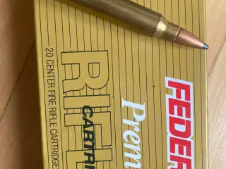 300 win Magnum