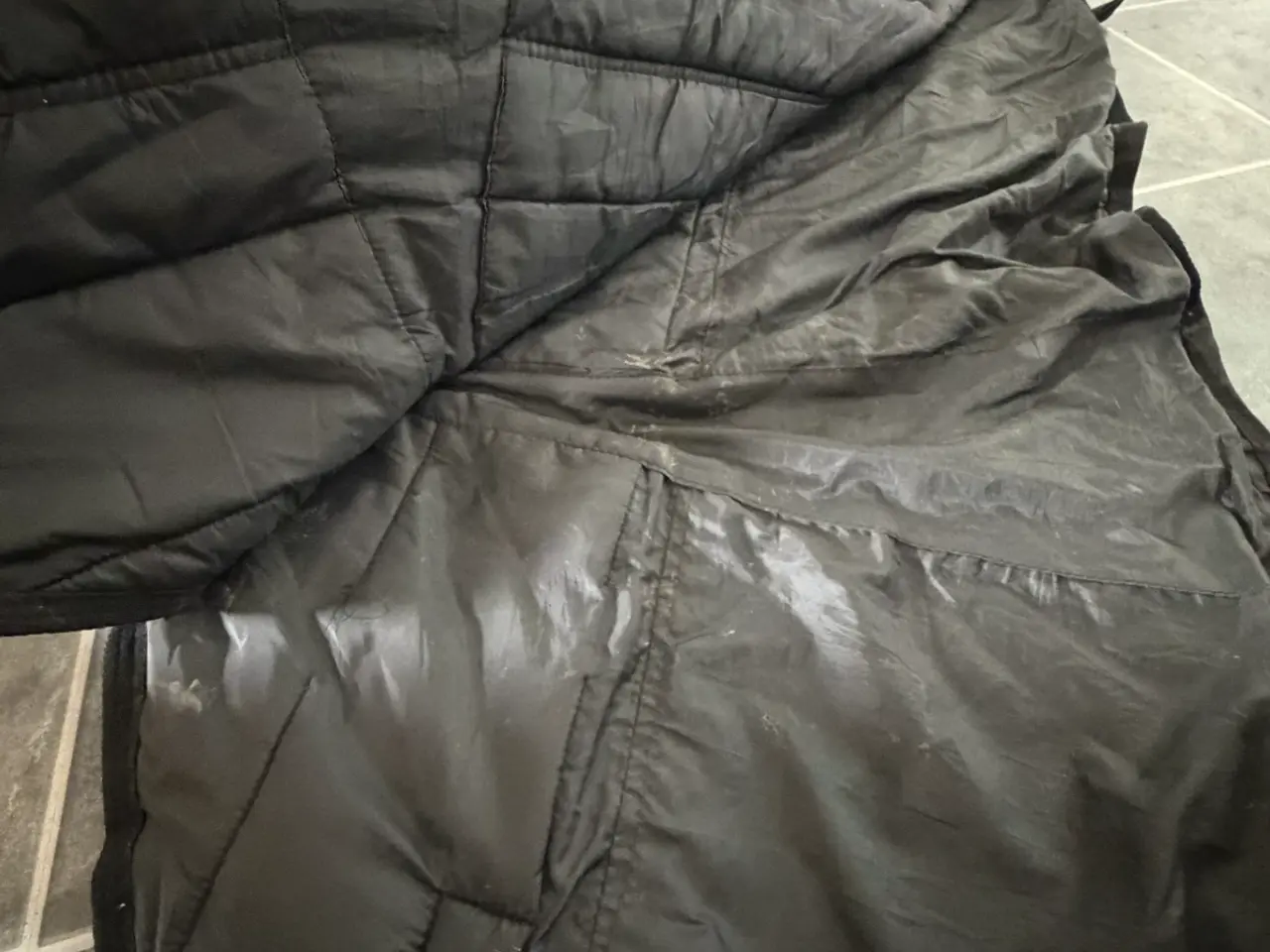 Billede 4 - Horze vinter 155 300g