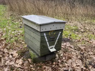 3stk Aflæggerstager 12/10