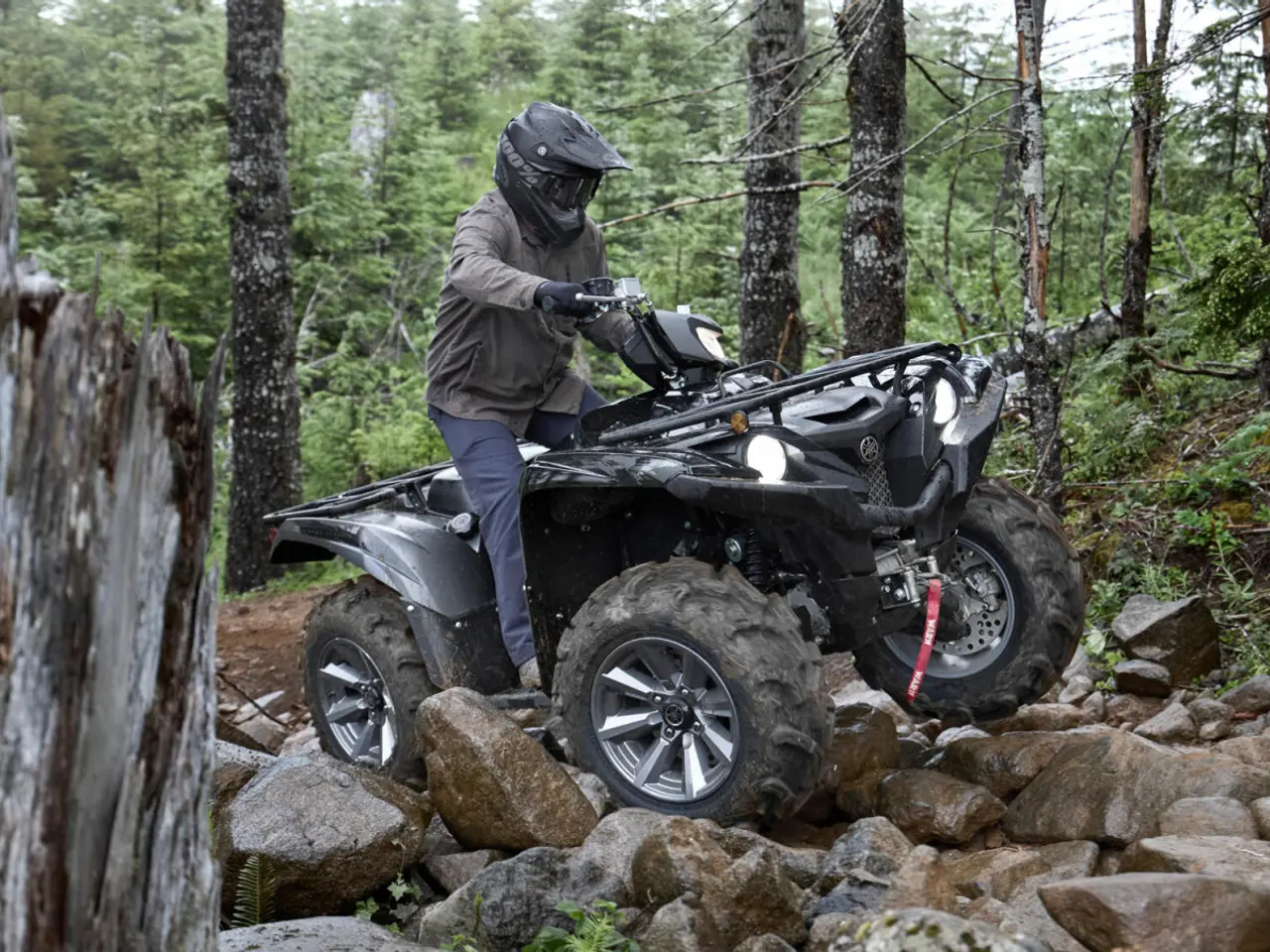 Billede 6 - Yamaha YFM 700 Grizzly EPS SE