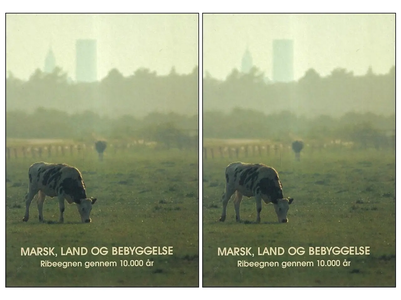 Billede 1 - Marsk, land og bebyggelse