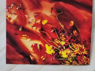 Paul McCartney – Flowers in the Dirt (LP)