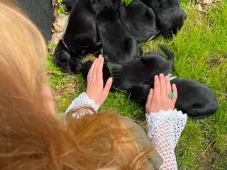 Er du min nye familie