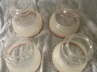 4 Glas skærme til lampe pendel