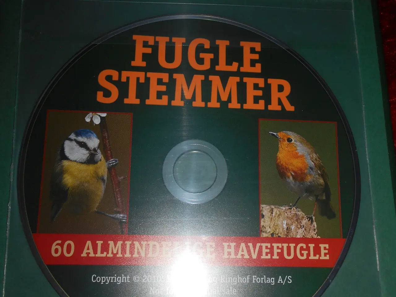 Billede 4 - Fuglestemmer i haven, Owen Roberts