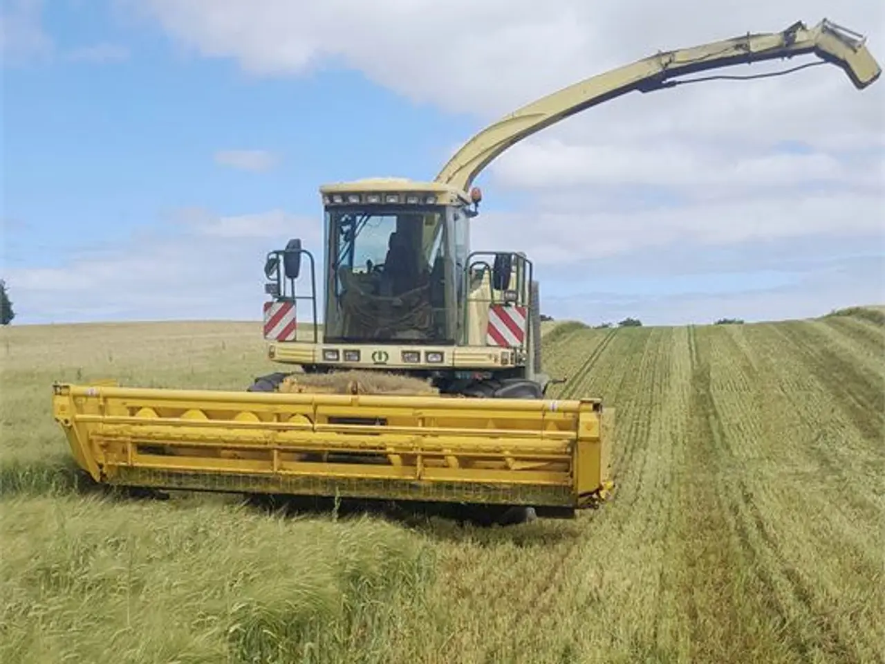 Billede 11 - Krone BiG X V8