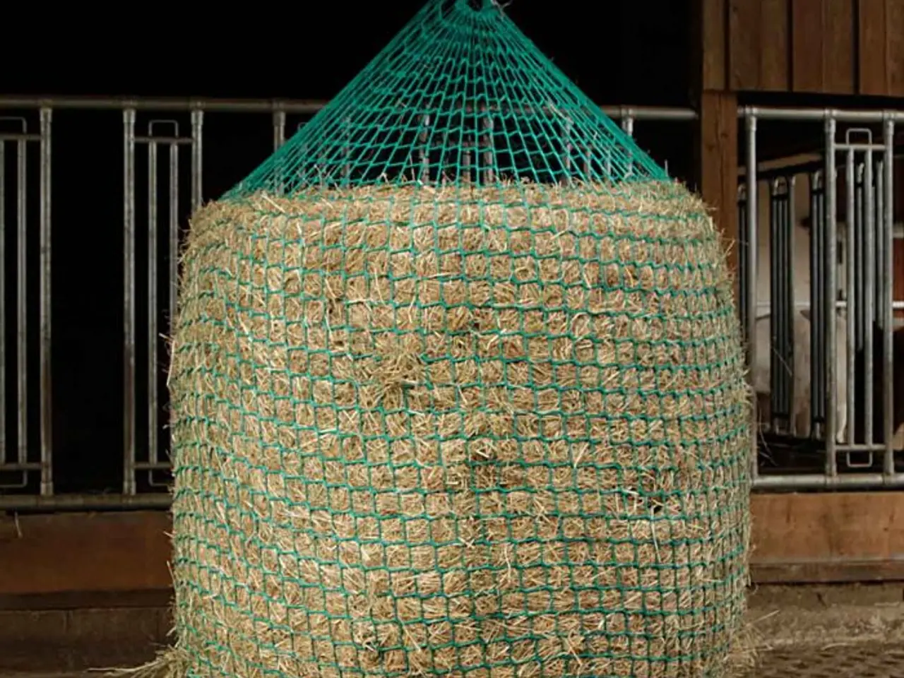 Billede 2 - Hønet til rundballe 180x150 ophængt slowfeeder.