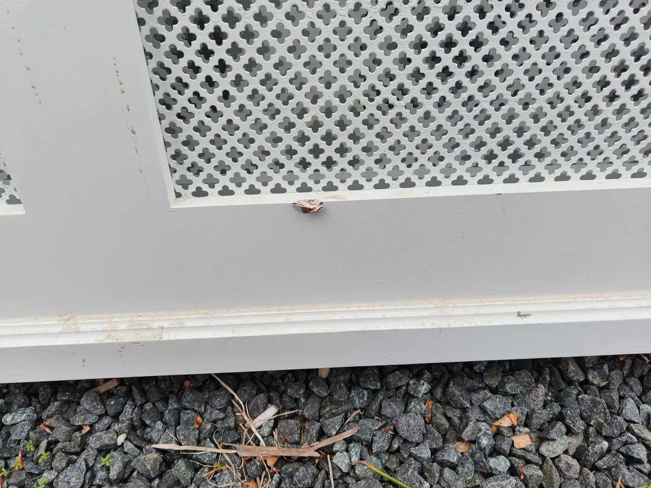 Billede 2 - Radiator skjuler