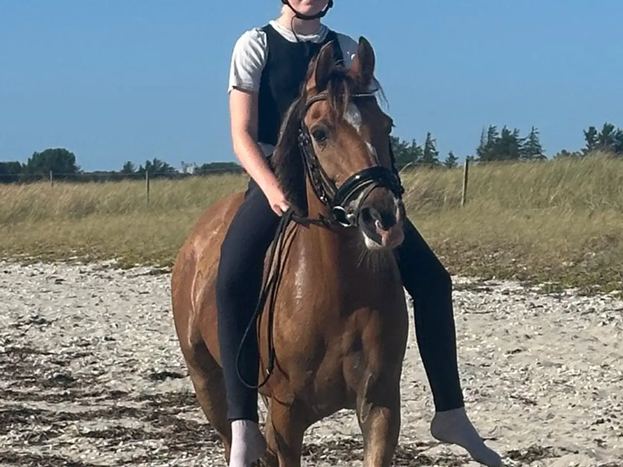 Billede 3 - 2'er pony