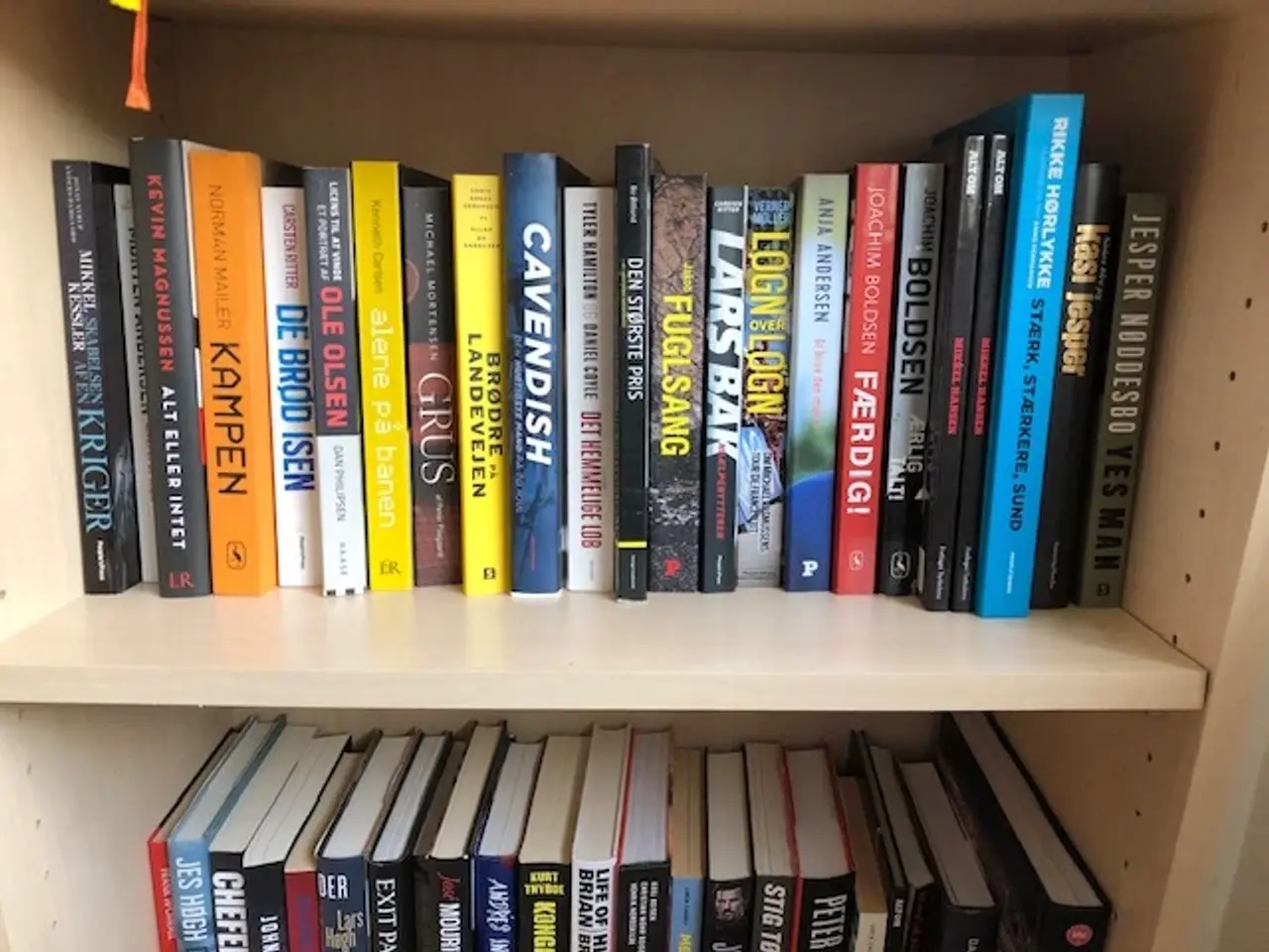 Billede 5 - Selvbiografier, sport, erhverv og mm.