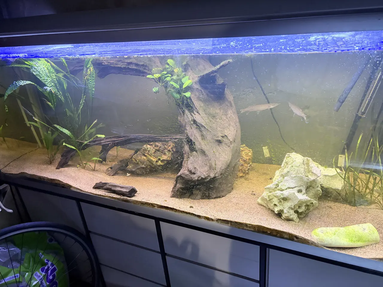 Billede 2 - 570 L akvarie med hvidt underskab