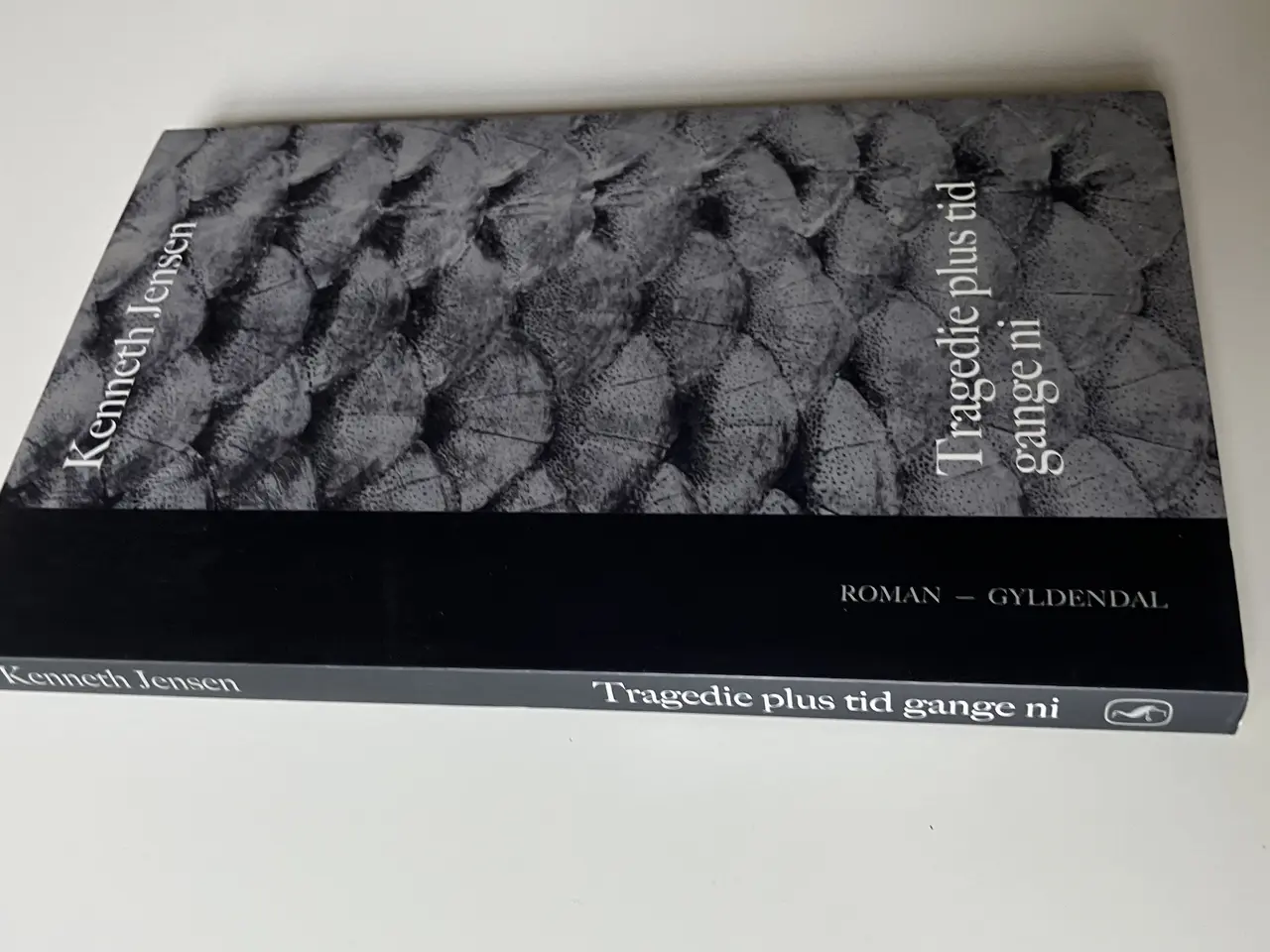 Billede 3 - Tragedie plus tid gange ni. Af Kenneth Jensen 
