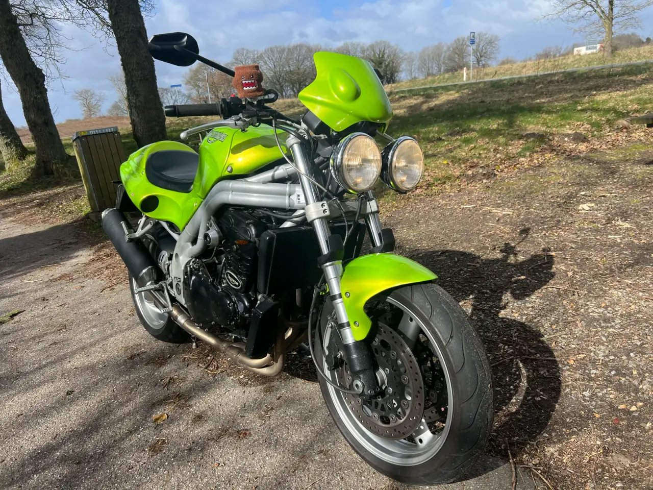 Billede 3 - Triumph speed triple