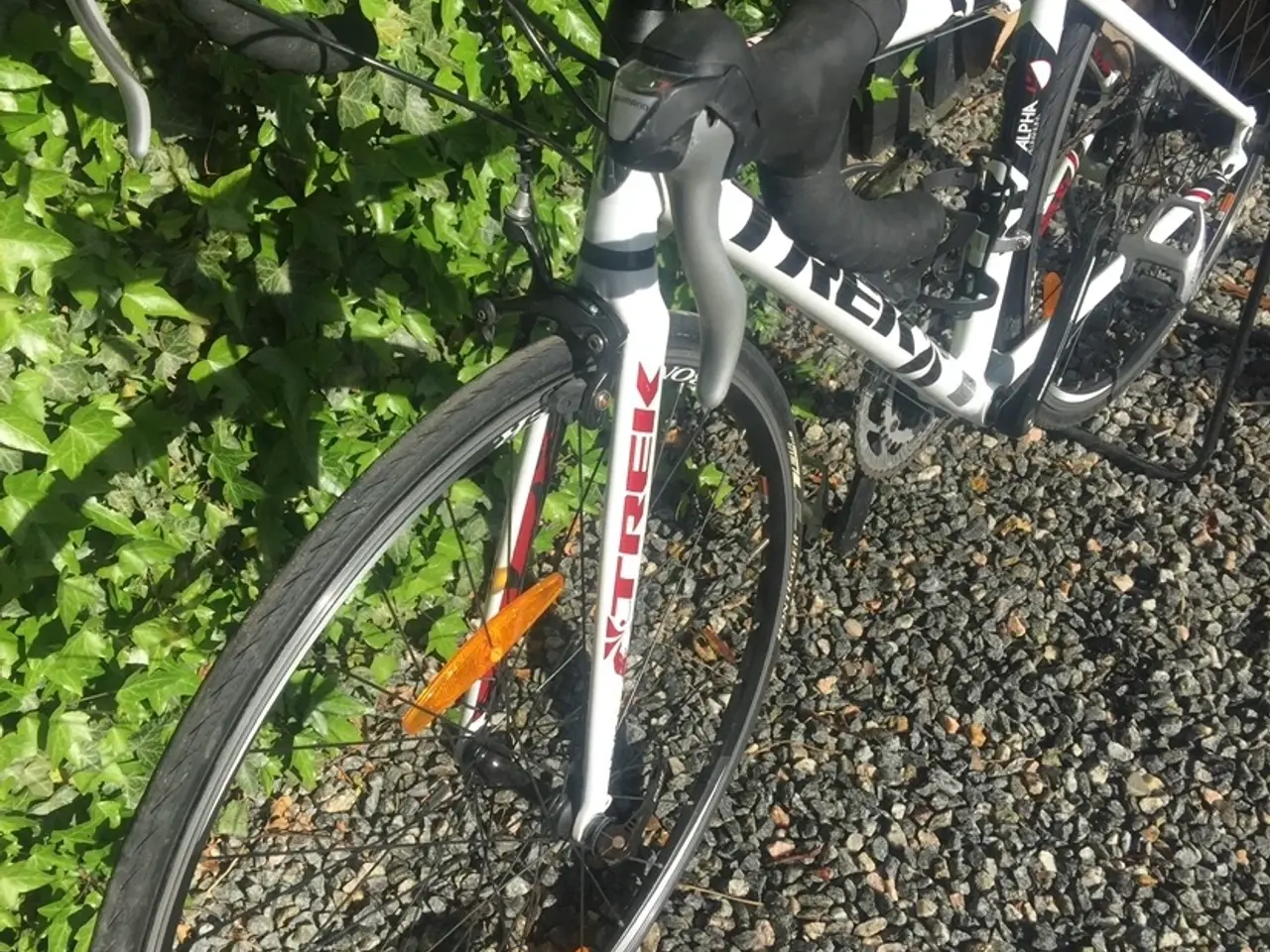 Billede 1 - Racer cykel junior/dame