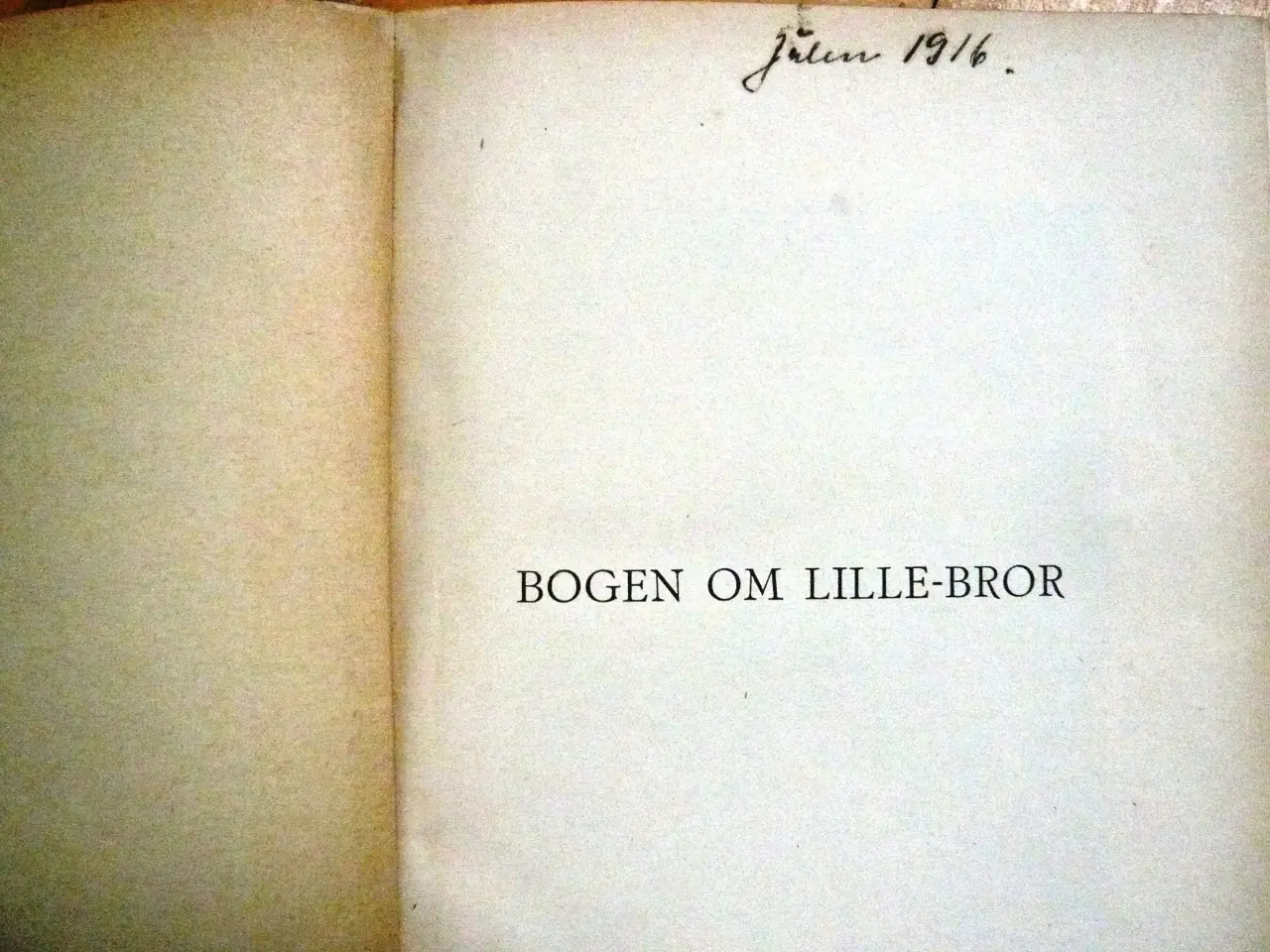 Billede 14 - Gamle / antikke bøger