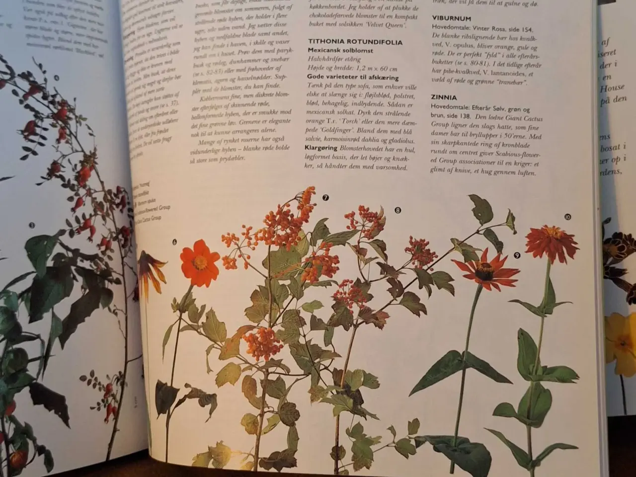 Billede 8 - Blomsterbog 
