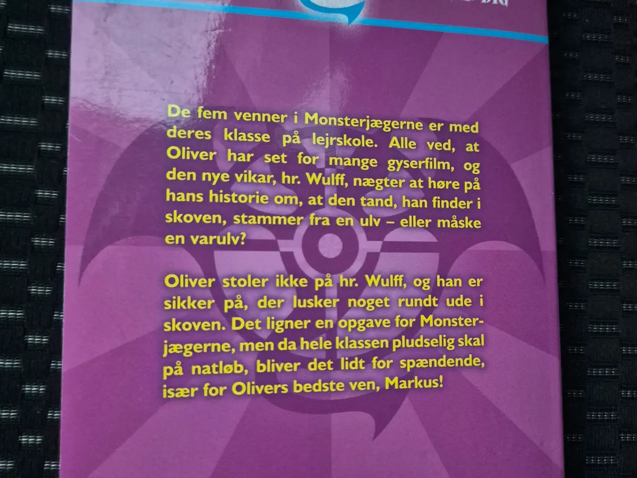 Billede 3 - Monsterjægerne – Livsfarlig lejrskole