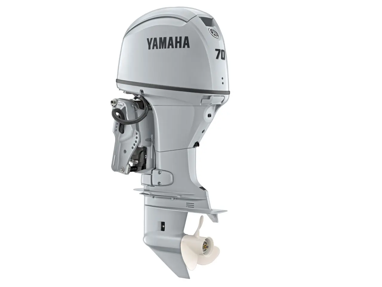 Billede 1 - Yamaha F70BET2L
