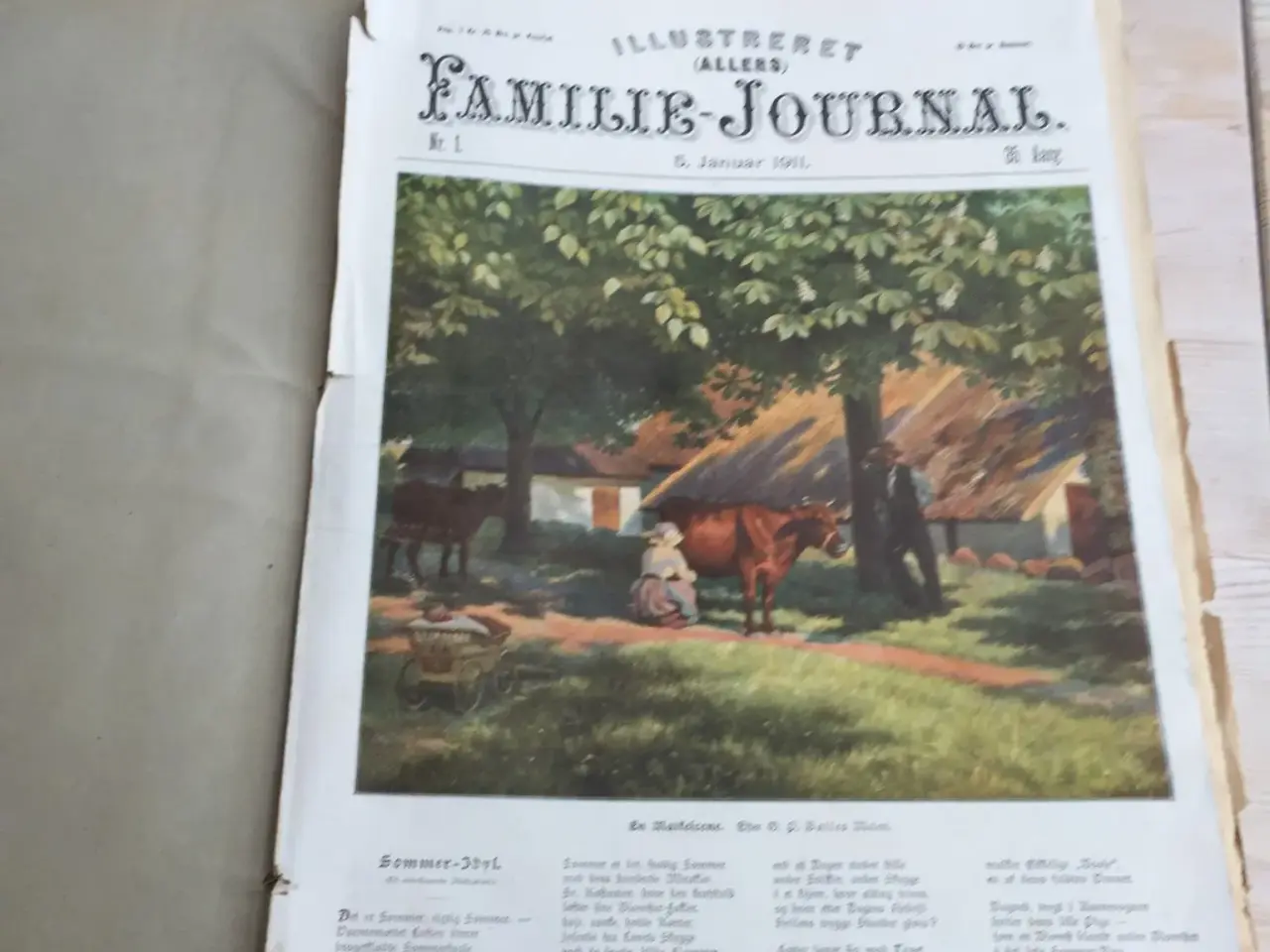 Billede 3 - Gamle indbundne " Familie-journal