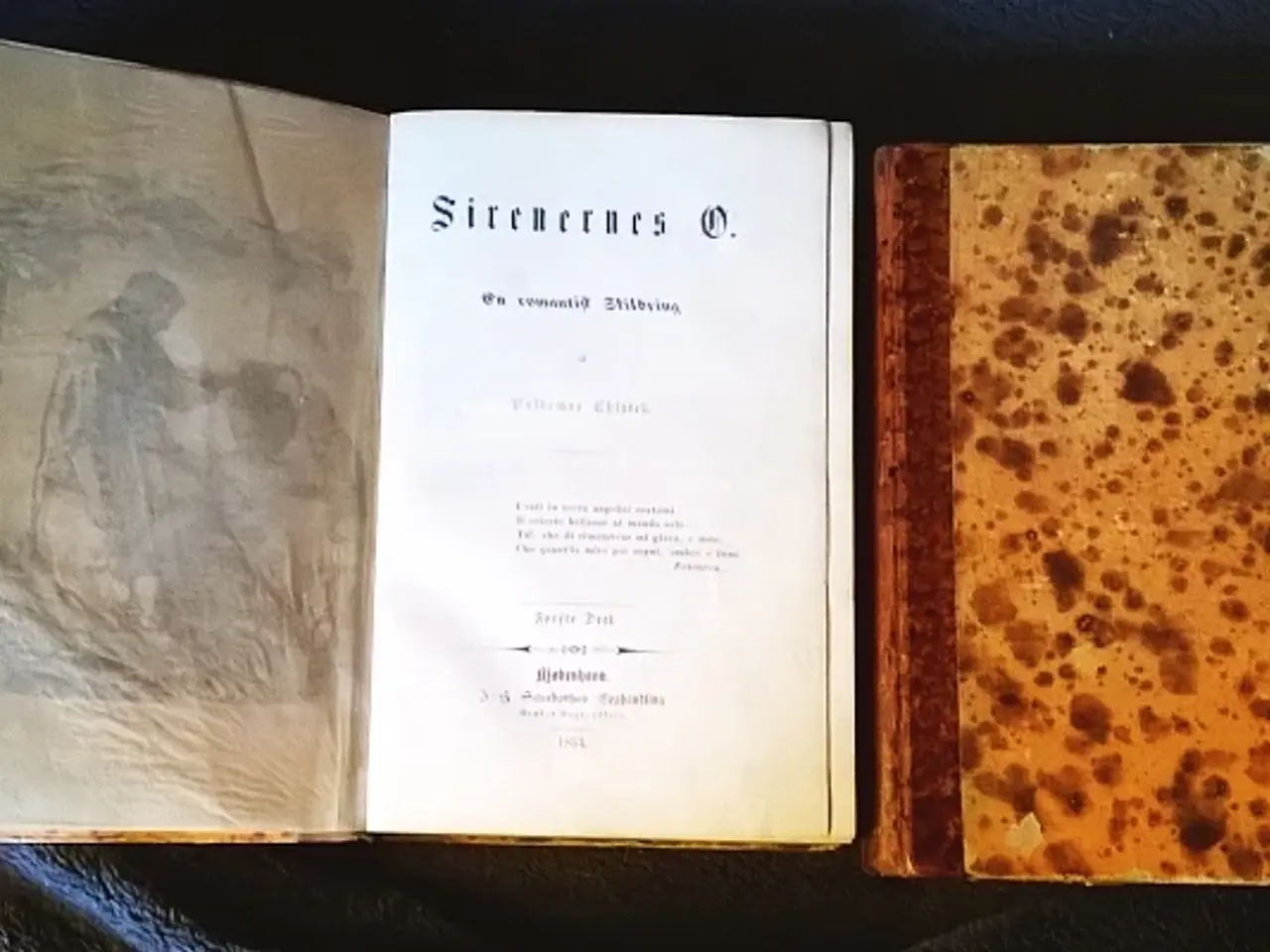 Billede 1 - Valdemar Thisted: Sirenernes Ø