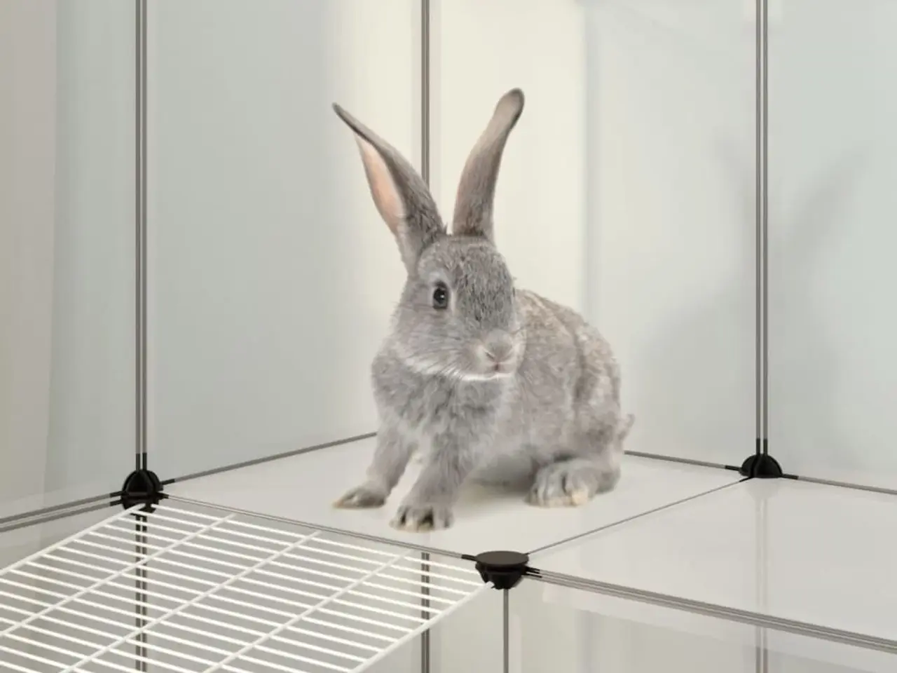 Billede 7 - Smådyrsbur transparent 143 x 107 x 93 cm