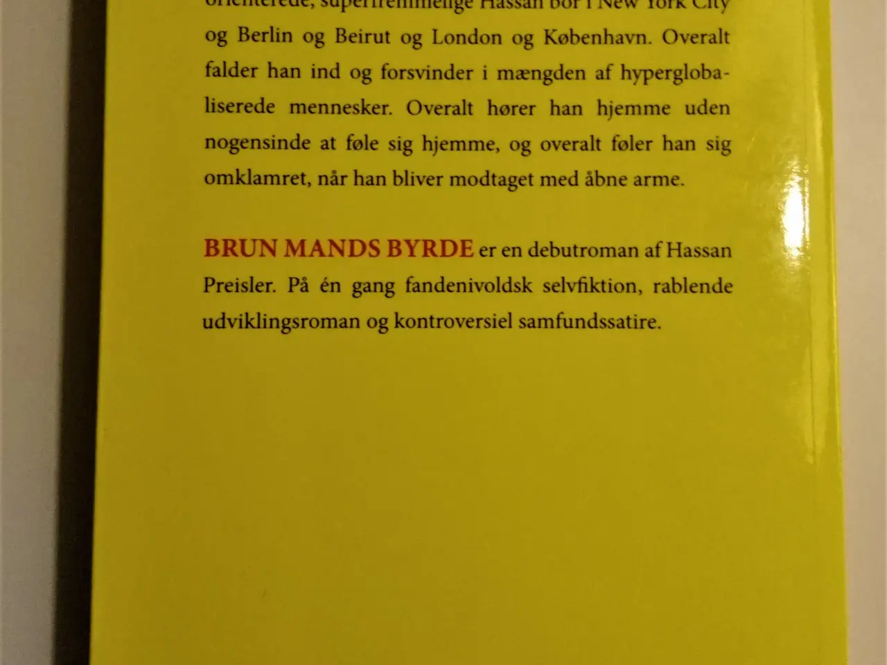 Billede 2 - Brun mands byrde. Af Hassan Preisler