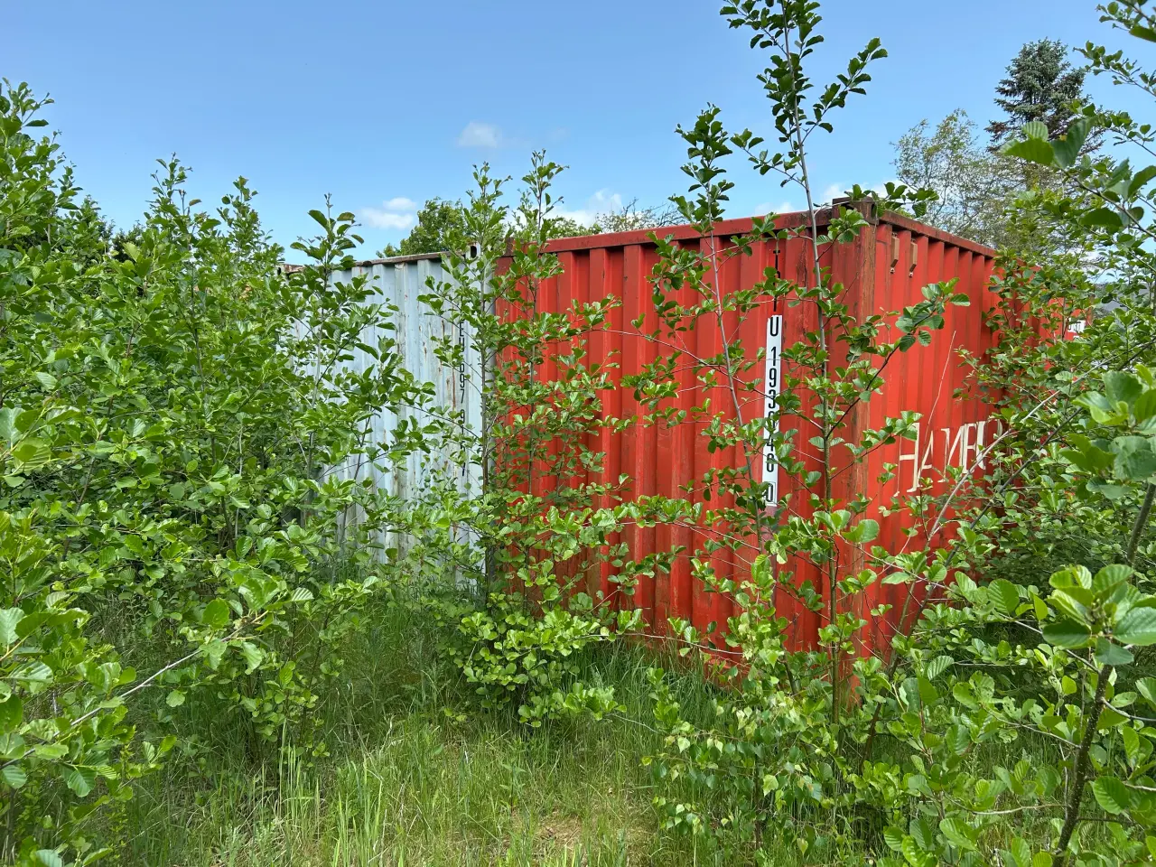 Billede 3 - Skibscontainer 20”