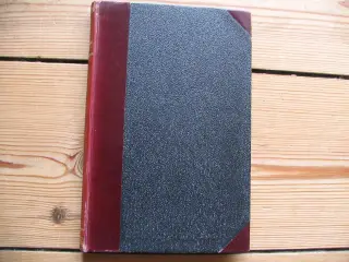Bjørnstjerne Bjørnson. Redaktøren samt De Nygifte