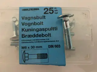 Bræddebolte M6 x 30mm elforsinket