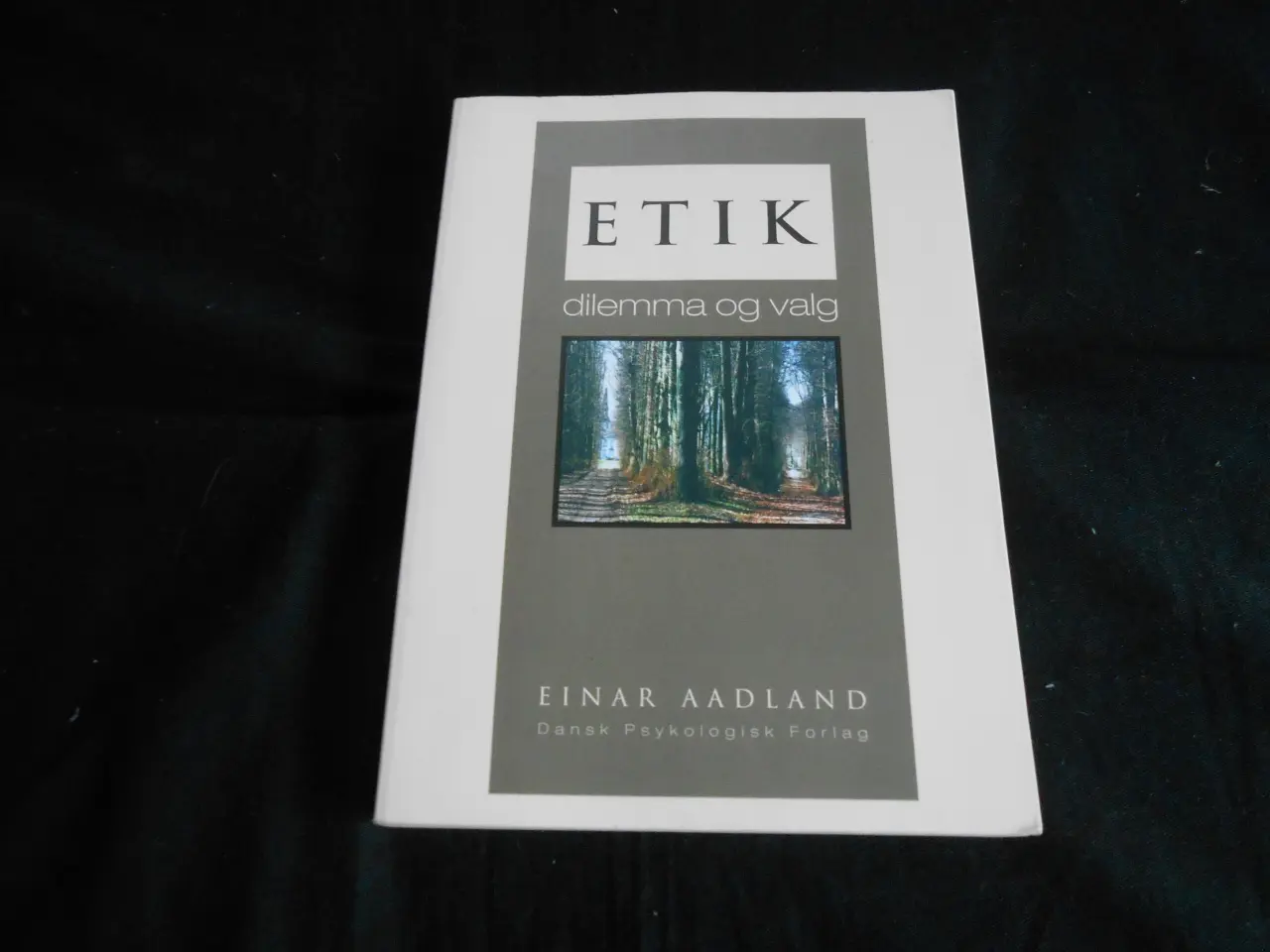 Billede 1 - Etik dilemma og valg. EINAR AADLAND