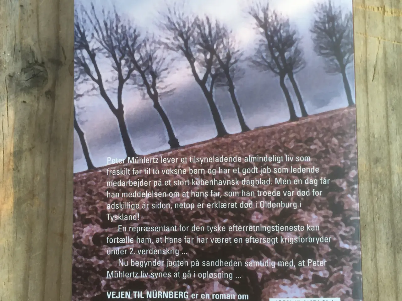 Billede 2 - Vejen Til Nürnberg, Henning Prins
