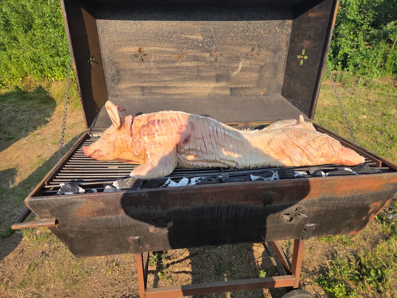 Billede 1 - Grill til pattegris 