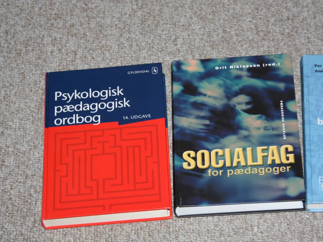Billede 2 - Socialfag for pædagoger af Grit Niklassen