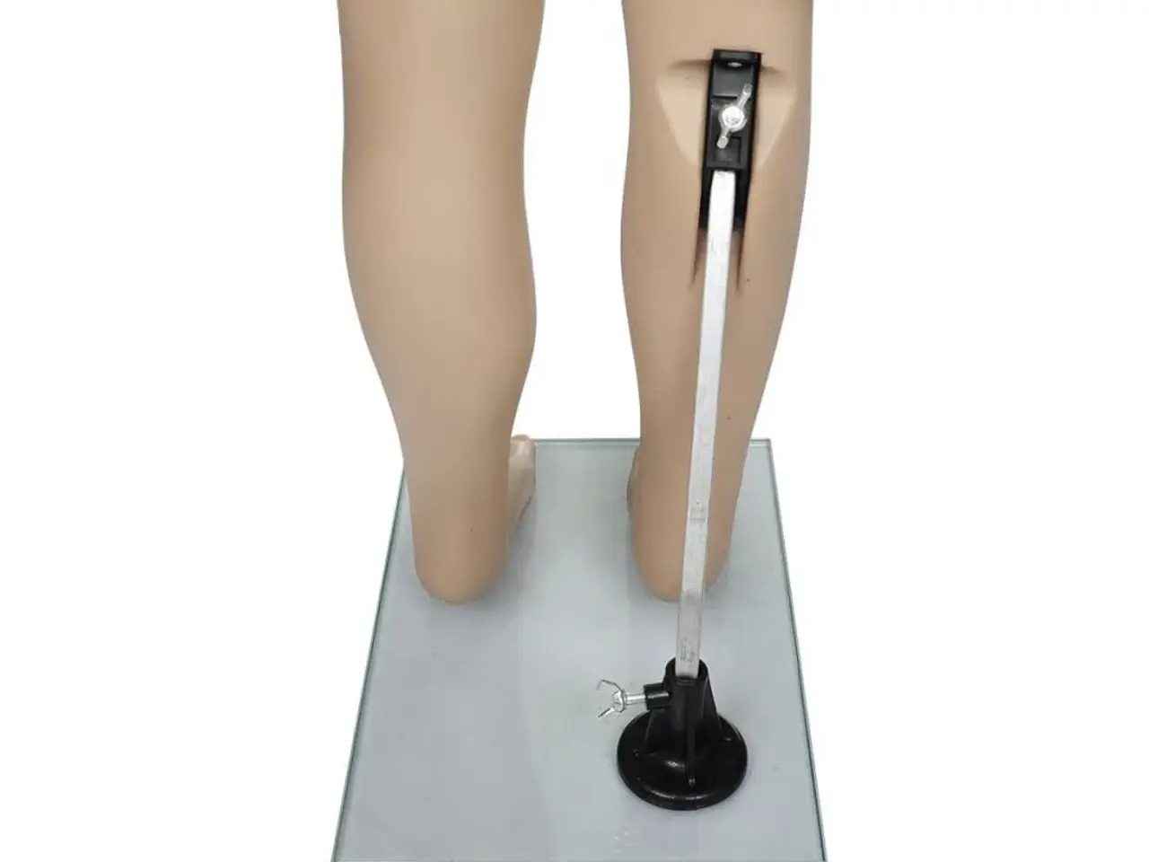 Billede 9 - Barnemannequin - drengekrop, 110 cm, beige med glasbase