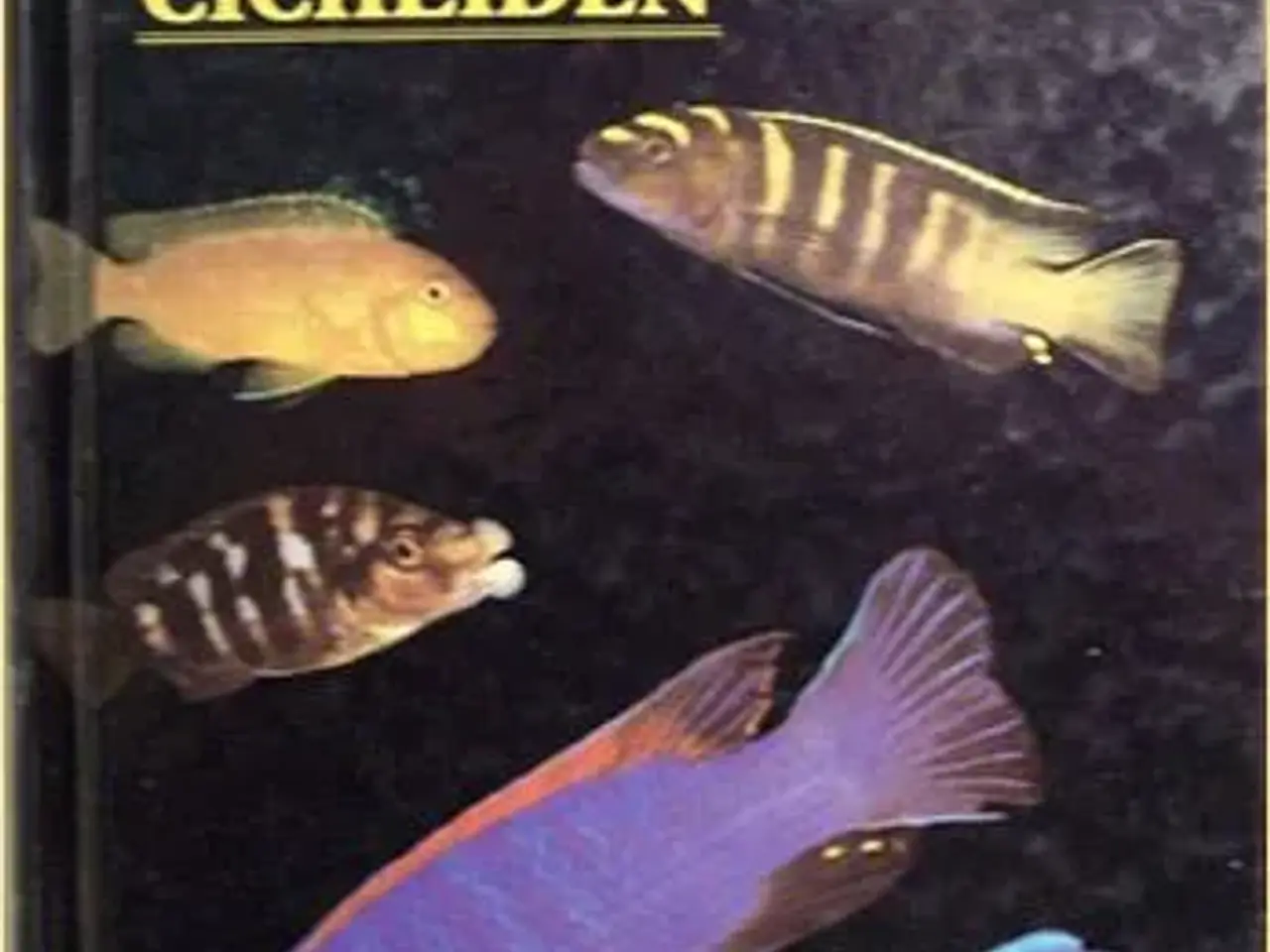 Billede 1 - Malawi Cichlids bøger, tysk - engelsk