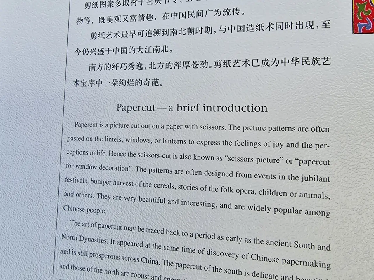 Billede 3 - Paper Cut In China