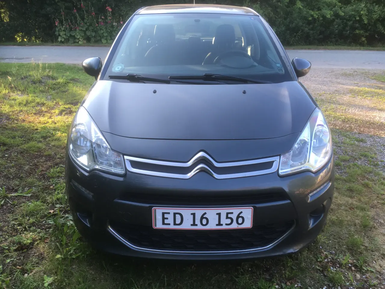Billede 1 - C3 2014