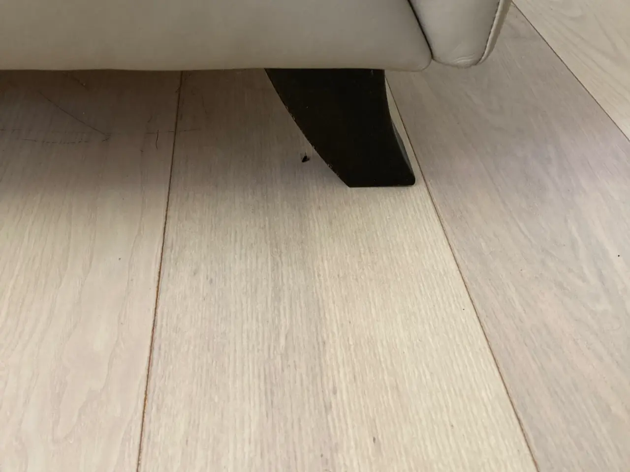 Billede 4 - Lædersofaer mokka farve i god stand 